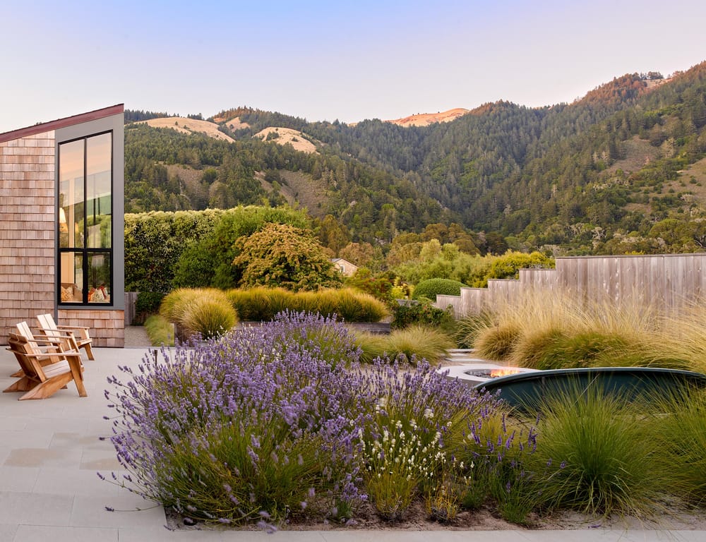 Basic Principles of Great Landscape Design in San Francisco post feature image