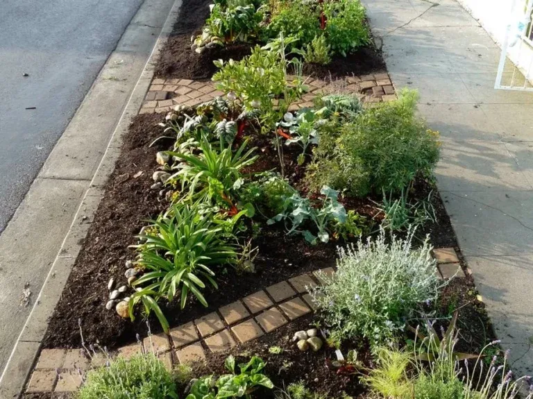 What It’s Like to Plant Your First Sidewalk Garden in San Francisco post feature image