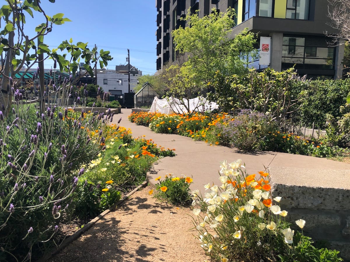 Why Sidewalk Gardens Are So Underrated