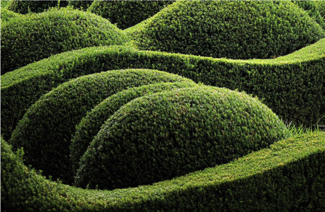 Garden Theory page feature image