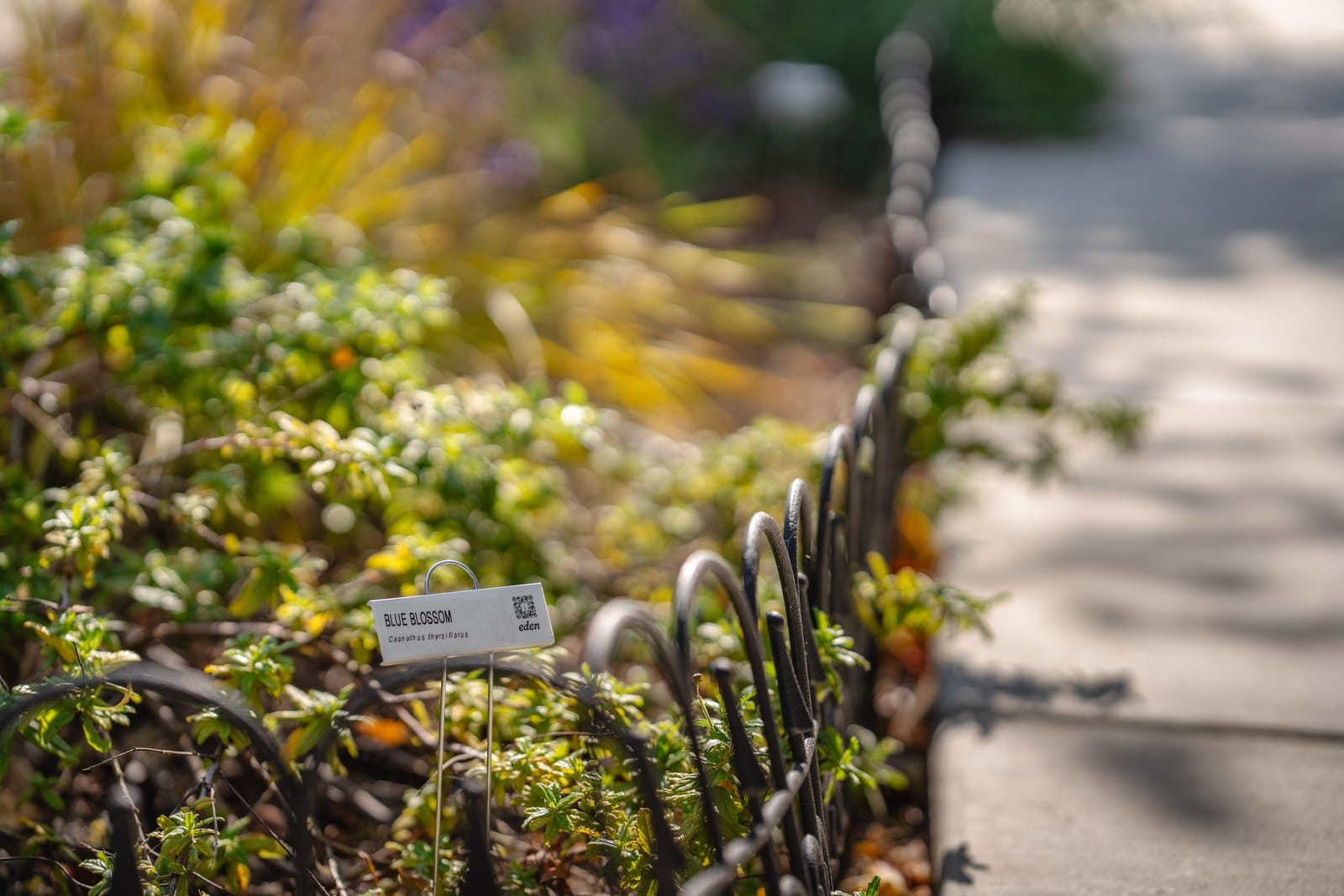 Now Live: Eden’s AI-Powered Sidewalk Garden Service post image