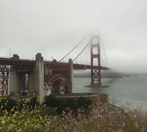 The History of San Francisco Landscape Design post feature image